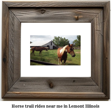 horse trail rides near me in Lemont, Illinois